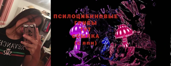 spice Бугульма